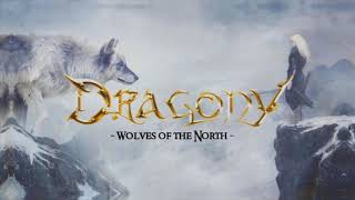 Dragony - Wolves of the North (Guitar Cover)