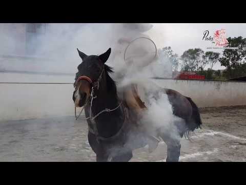 PIALADERO EN HONOR A "DON RAFAEL FUENTES GUTIÉRREZ"  LOS GAVILANES 22/02/2019