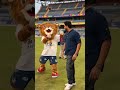 Rohit Sharma Entry Wankhede Stadium T20 Mumbai League Trendingshorts Sports Rohitsharma