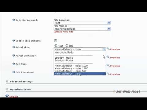 How to customize your DotNetNuke appearance changing skins