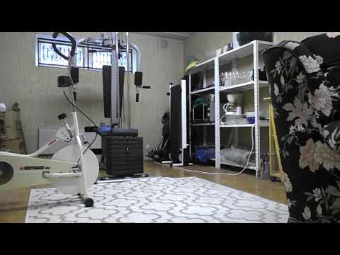 dag 44/75 - 20 armhävningarna