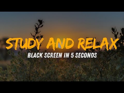 Relax and Study (Relaxe e Estude)