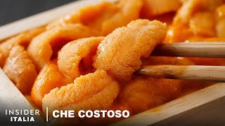 Perché I Ricci Di Mare Sono Così Costosi | Che Costoso