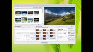 Mass Watermark: Lifetime Subscription (For Windows)