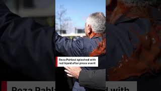 "RED LIQUID ATTACK": Reza Pahlavi Splattered in Berlin After Fiery Speech | DWS News | AH1C