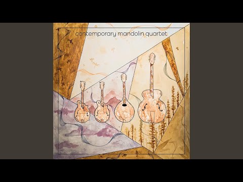 Bach Double Violin Concerto: 1. Vivace