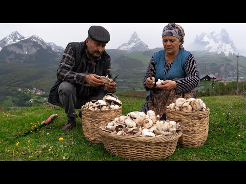 From the Mountain 🏔️ to the Table 🍽️: Mushroom 🍄 Season in the Mountains of Shahdag