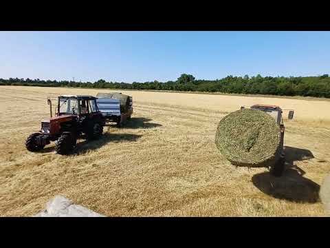 Mtz-82.1, Mtz-50 Évvégi Összefoglaló/End of the year/Sezon {2025}