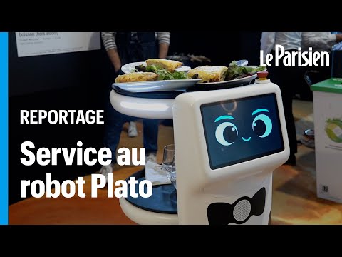 Plato Video 2695