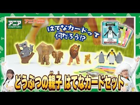 【アニア研究所】#2「はてなカードって何だろう？アニア　どうぶつの親子はてなカードセット」