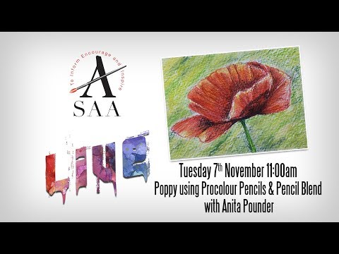 SAA LIVE - Poppy using Procolour Pencils and Pencil Blend with Anita Pounder