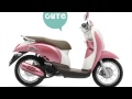 Honda Scoopy