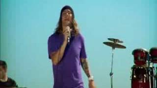 Dirty Heads - Stand Tall (Official Music Video)