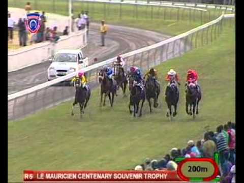 Pont D'Avignon - Derreck David
