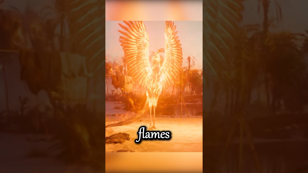 The man released the captured firebird out of pity.#shorts #film #movie