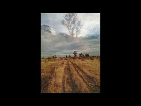 VENTA Terreno con orilla de camino, 3,5 Ha, Llequén, Biobío