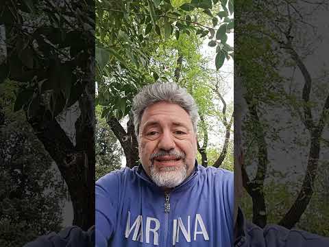 L'indipendenza economica europea secondo Chatgpt