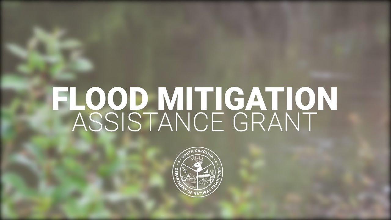 Flood Mitigation Assistance Grant