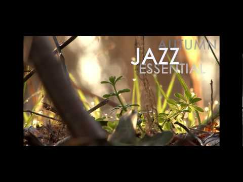 Jazz Passengers - Wind Walked By // JazzONLYJazz