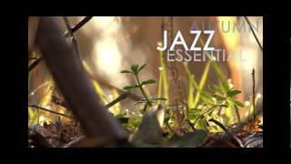 Jazz Passengers - Wind Walked By // JazzONLYJazz