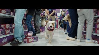 Dr Pepper Blackberry Friday :30 | New Dr Pepper Blackberry