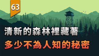 [閒聊] 外國這種巡山員晚上是不是很可怕？