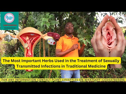 Most Important Herb Used in Treatment of STI in Traditional Medicine. Djeka or the ogyama leaves