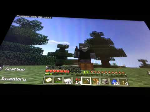 Quest to Kill the Ender Dragon Part 2