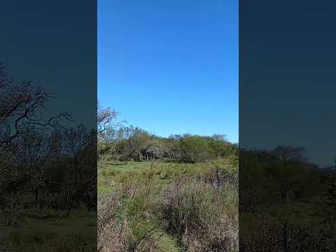 Maria Grande 2da. Camino por el oeste hacia El Pingo. Dto. Parana. Entre Rios. Parte 19