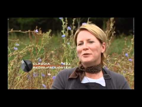 VTM - Beste hobbykok.mp4