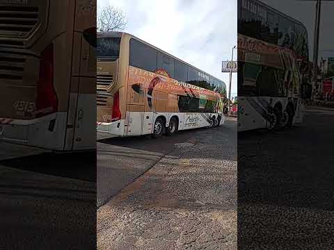 TRANS TURISMO 2000. São Paulo-SP X São José de Ribamar-MA🇧🇷🚍🙏#viagem #turismo