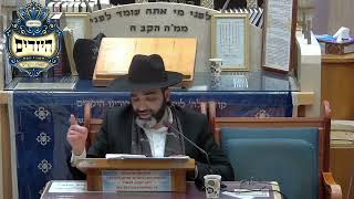 הרב אהרון שמאי | הלכות | יזדים (בית הכנסת מוסאיוף) - התמונה מוצגת ישירות מתוך אתר האינטרנט יוטיוב. זכויות היוצרים בתמונה שייכות ליוצרה. קישור קרדיט למקור התוכן נמצא בתוך דף הסרטון