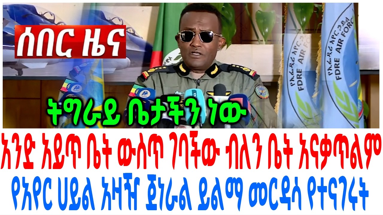 አንድ አይጥ ቤት ውስጥ ገባችው ብለን ቤት አናቃጥልም የአየር ሀይል አዛዥ ጀነራል ይል?