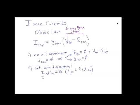 Schneid Guide to Ionic Currents