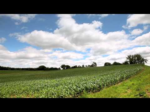 Field Song - William Elliott Whitmore