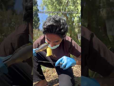 Other people seeing mold on food vs French people. #shorts #skit #funny