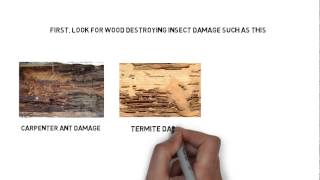 What to Look For When Buying an Older Home | (773) 382-8492 | CALL US!