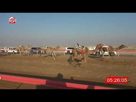  ش 7 (الذيب) لـ مبارك محمد بن وريقة العامري 7:50:53 ، شارة الديوان 2026/10/25 إيذاع الوقن
