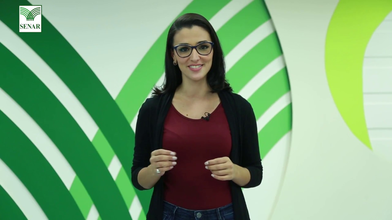 16/06/2018 - Videoaula 2 - Introdução ao Agronegócio