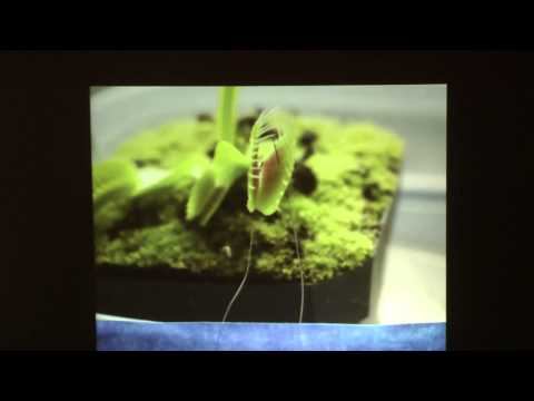 [HOPE X] Wireless Meshnets - Building the Next Version of the Web