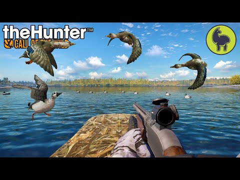 A Rare Sight (mallard edition) Hunt Club Beta | theHunter: Call of the Wild (PS5 4K 60FPS)