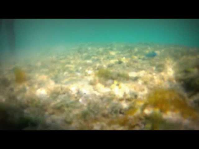 Hot Girl in a Sexy Bikini Snorkeling in Cuba