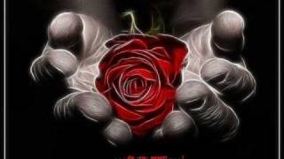 Saga - the Snow fell