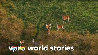 The Netherlands from above - E5/10 - Untamed nature in the Netherlands