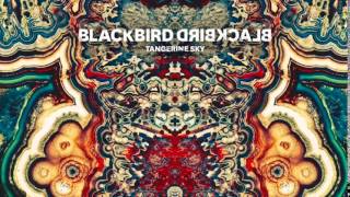 Blackbird Blackbird - More Beautiful (Spotify Exclusive)