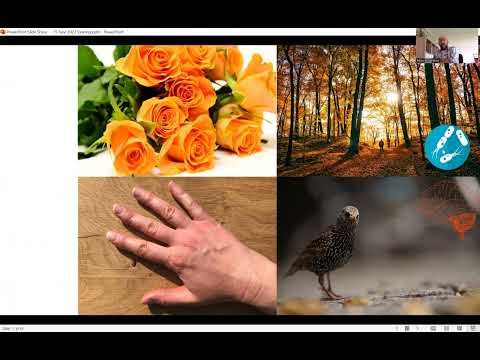 Our Connection to Nature and ways to improve it - a talk with Prof. Miles Richardson