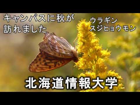 情報メディア学科 ＜2021年10月号＞HIUキャンパス便り