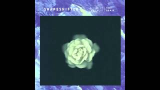 Shapeshifter | Giving Up The Ghost (TREI Remix)