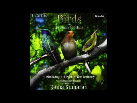 Herman Beeftink - "Birds" for Flute Trio