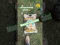 How To Get Massive Cannabis Plants 🤔 Growing In The Finest Coco Soil! #hempcbd